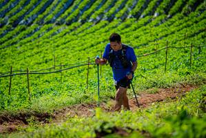 BIB: 
                            <button type="button" onclick="openModal(19162270)" class="btn btn-primary btn-sm float-right btn-popup" data-toggle="modal" data-target=".modal-high-quality">
                        <i class="fas fa-shopping-cart"></i> Add to Cart
                    </button>
                                            <button type="button" onclick="isThisMe(19162270, true)" class="btn btn-success btn-sm float-right btn-popup btn-isme hidden" data-toggle="tooltip" data-placement="bottom" title="นี่คือรูปของคุณใช่ไหม คลิกที่นี่เพื่อเอาเข้าอัลบั้ม">
                        <i class="fas fa-plus"></i> Add to album
                    </button>
                    <button type="button" onclick="isThisMe(19162270, false)" class="btn btn-warning btn-sm float-right btn-popup btn-isnotme hidden">
                        <i class="fas fa-ban"></i> Remove from album
                    </button>